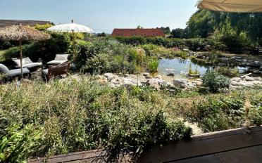 Einfamilienhaus 4.5 Zimmer - image - 3