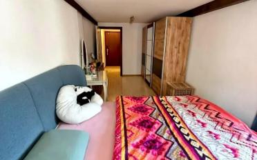 Wohnung 2.5 Zimmer - image - 4