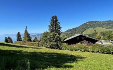 Chalet 5.5 pièces - image - 2