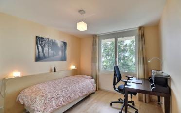 Attic flat 4.5 rooms - image - 10