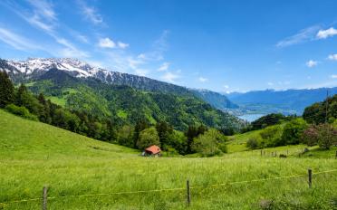 Chalet 4.5 Zimmer - image - 2