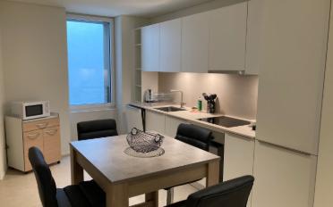 Furnished flat 1 room - image - 5