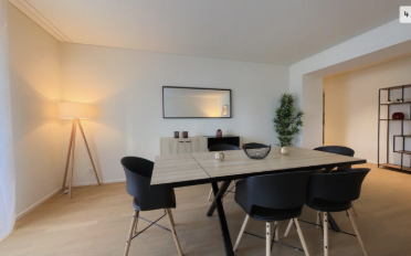 Furnished flat 1 room - image - 10