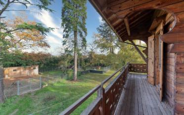 Villa 8 Zimmer - image - 6
