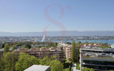 Attikawohnung 6.5 Zimmer - image - 2