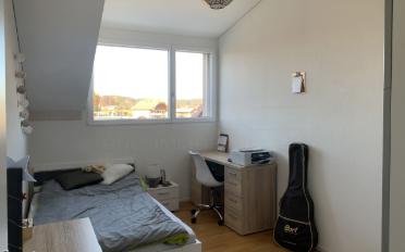 Attic 4.5 rooms - image - 3