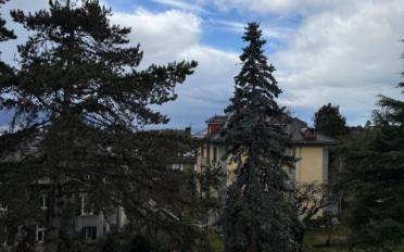 Apartment 4.5 rooms - image - 2