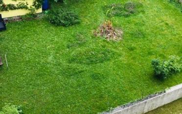 Appartement 2.5 pièces - image - 6