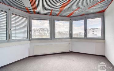 Office 9 rooms - image - 6