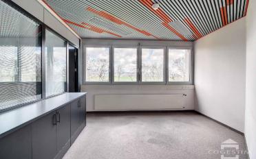 Office 9 rooms - image - 3
