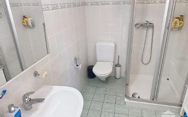 Appartement 5.5 pièces - image - 7