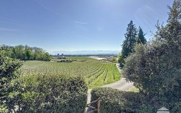 Villa 6 pièces - image - 1