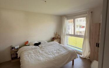 Wohnung 2.5 Zimmer - image - 2
