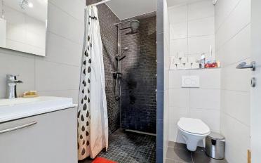 Appartement 4.5 pièces - image - 11