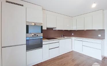 Wohnung 2.5 Zimmer - image - 5