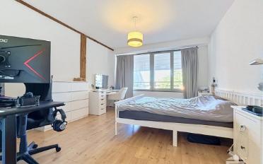 Wohnung 2.5 Zimmer - image - 4