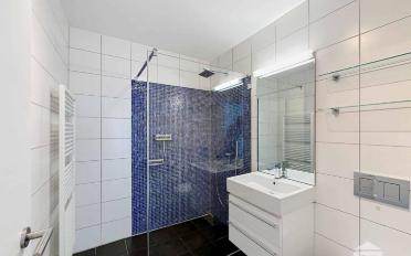 Appartement 3.5 pièces - image - 12