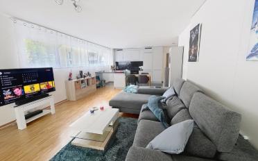 Wohnung 2.5 Zimmer - image - 1