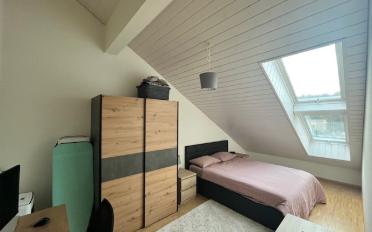 Wohnung 2.5 Zimmer - image - 5