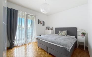 Wohnung 2.5 Zimmer - image - 4