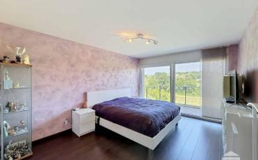 Doppeleinfamilienhaus 6.5 Zimmer - image - 4