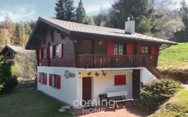 Chalet 8 pièces - image - 1
