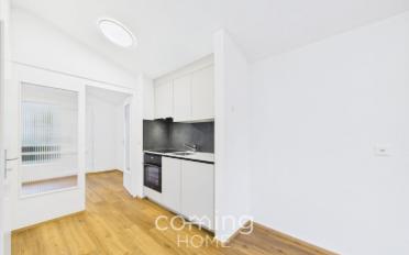 Roof flat 2.5 rooms - image - 4