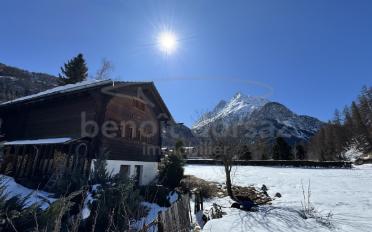 Chalet 3 rooms - image - 7