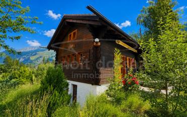 Chalet 3 pièces - image - 1