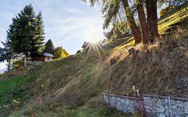 Chalet 2 rooms - image - 10