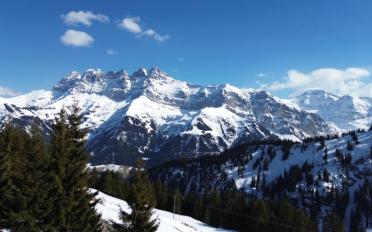 Chalet 7.5 Zimmer - image - 2