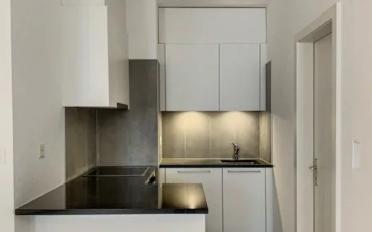 Wohnung 1.5 Zimmer - image - 3
