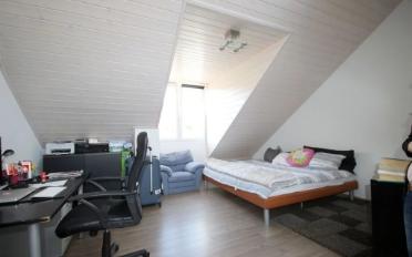 Villa 6 Zimmer - image - 5