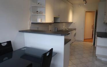Wohnung 4 Zimmer - image - 2