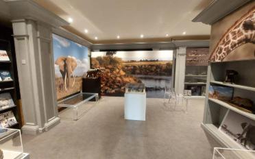 Shop - image - 3