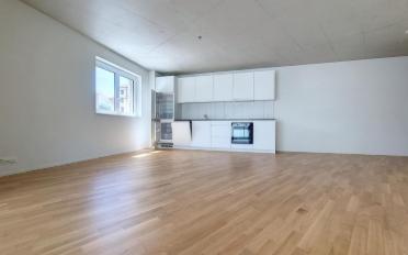 Wohnung 2.5 Zimmer - image - 2