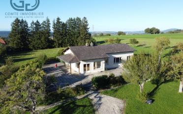 Einfamilienhaus 6.5 Zimmer - image - 1