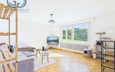 Wohnung 4.5 Zimmer - image - 2