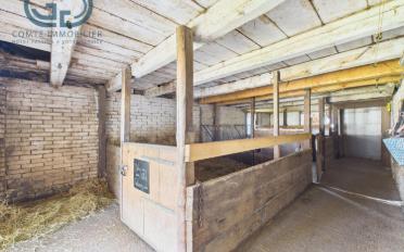 Einfamilienhaus 10 Zimmer - image - 11