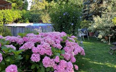 Maison jumelée 6 pièces - image - 2