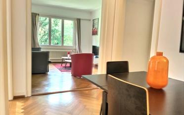 Appartement meublé 3.5 pièces - image - 3