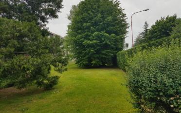 Wohnung 2.5 Zimmer - image - 7