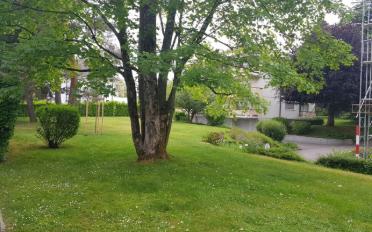 Wohnung 2.5 Zimmer - image - 8