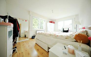 Appartement 5.5 pièces - image - 4