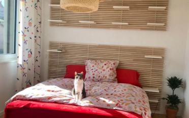 Appartement 4.5 pièces - image - 8