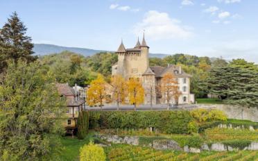 Büro 2.5 Zimmer - image - 2