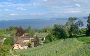 Office 1 room - image - 2