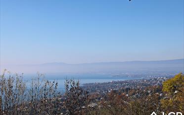 Wohnung 4 Zimmer - image - 2