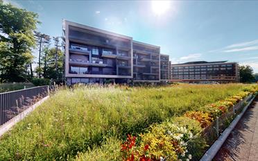 Appartement meublé 2.5 pièces - image - 17