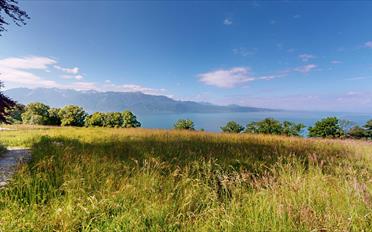 Möbl. Wohnobj. 2.5 Zimmer - image - 16